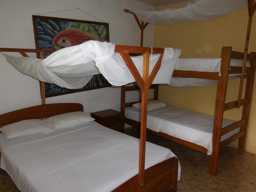 Tambopata Hostel Puerto Maldonado Exteriör bild